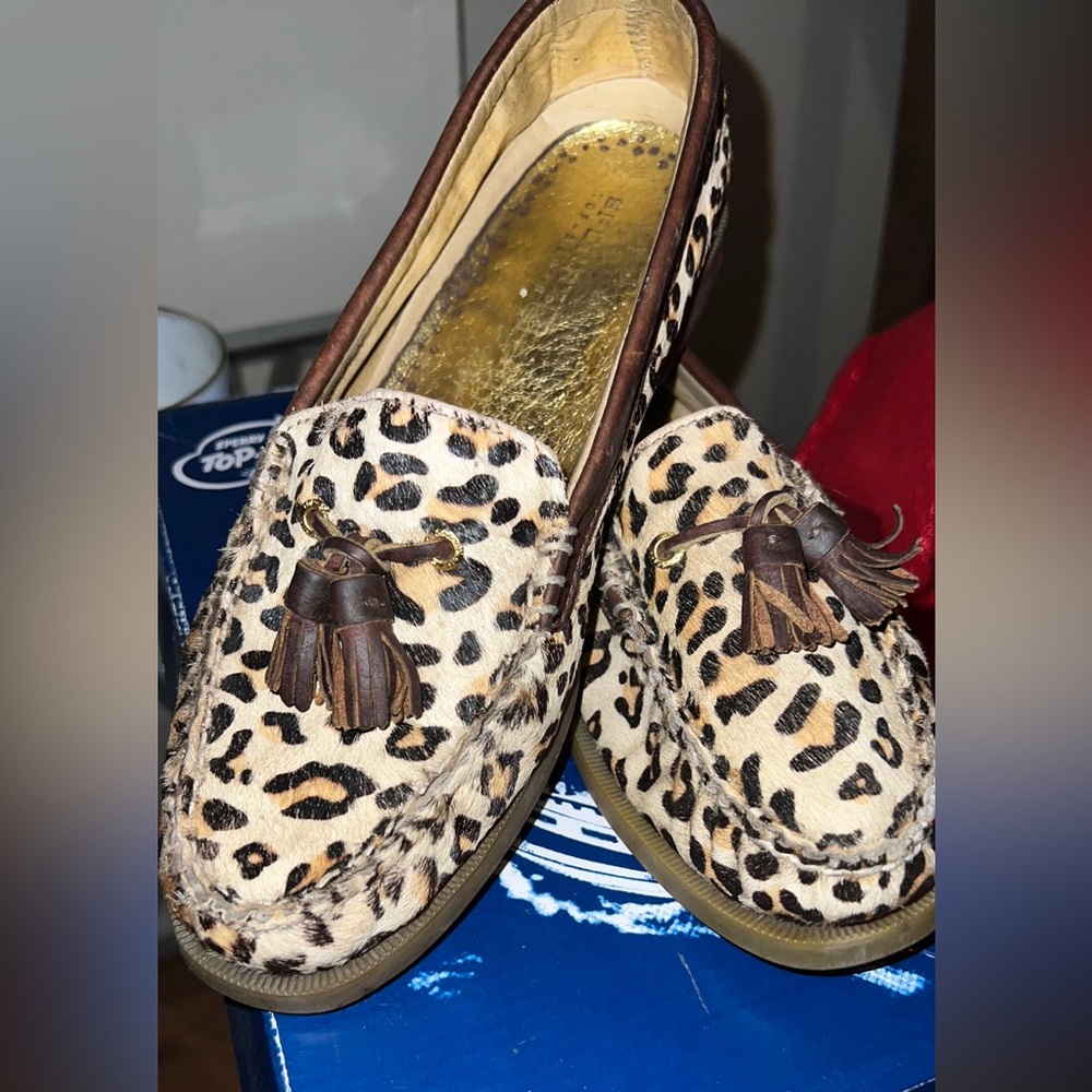 8.5 - Picture 4 of 4